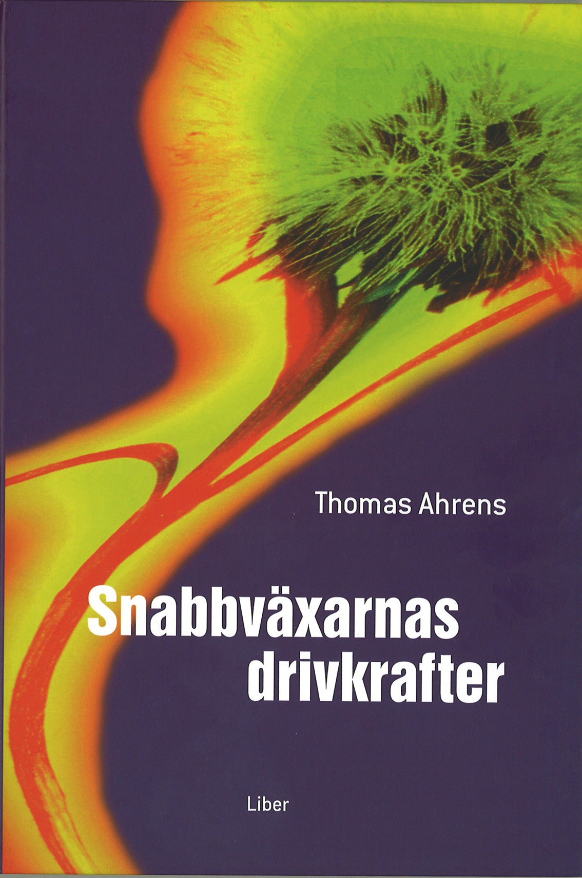 Snabbväxarnas drivkrafter